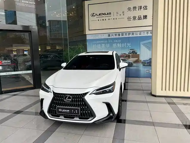 Lexus NX EV