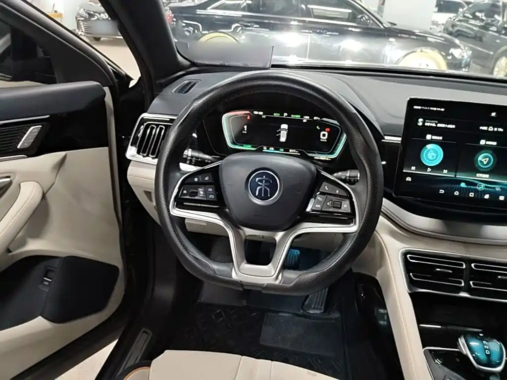 BYD PLUS New Energy — миниатюра 11