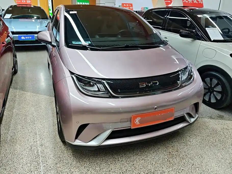 BYD Dolphin — миниатюра 2
