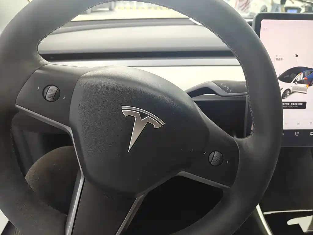 Tesla Model 3 — миниатюра 11