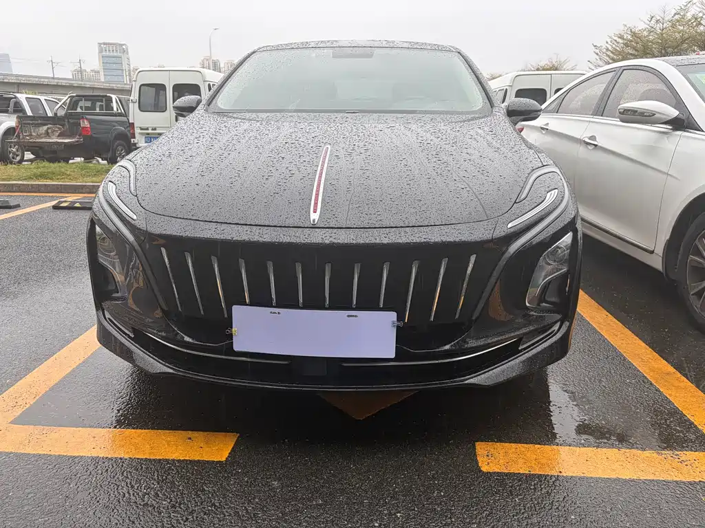 Hongqi HONGQI E QM5