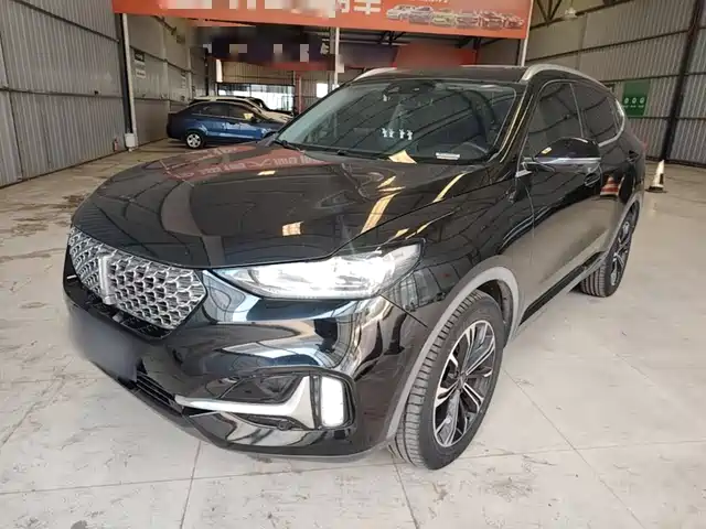 2021 Wey VV6