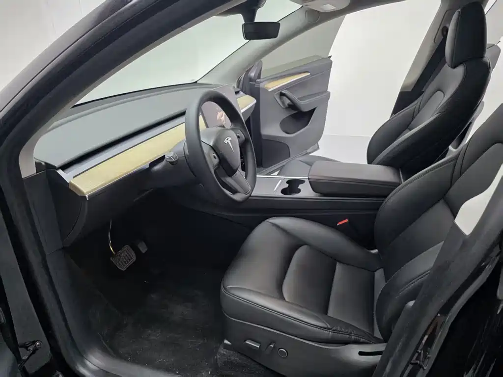 Tesla Model Y — миниатюра 5