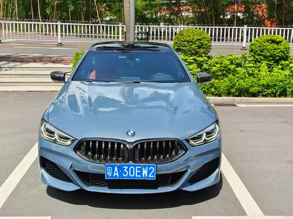 BMW 8 Series — миниатюра 2