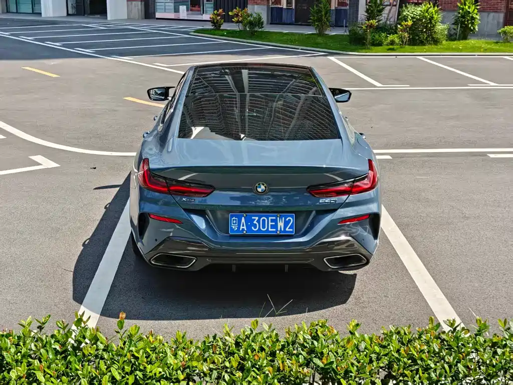 BMW 8 Series — миниатюра 8