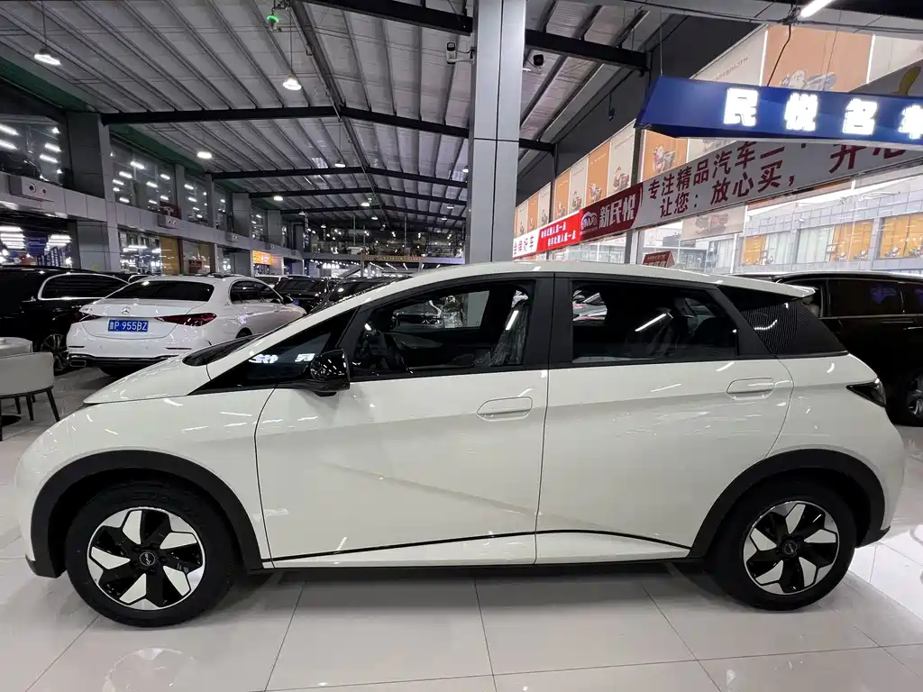 BYD Dolphin — миниатюра 4
