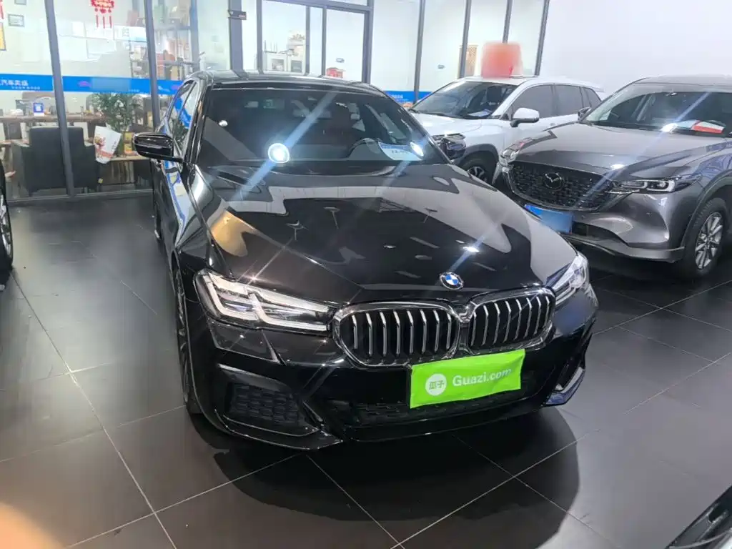 BMW 5 Series — миниатюра 3