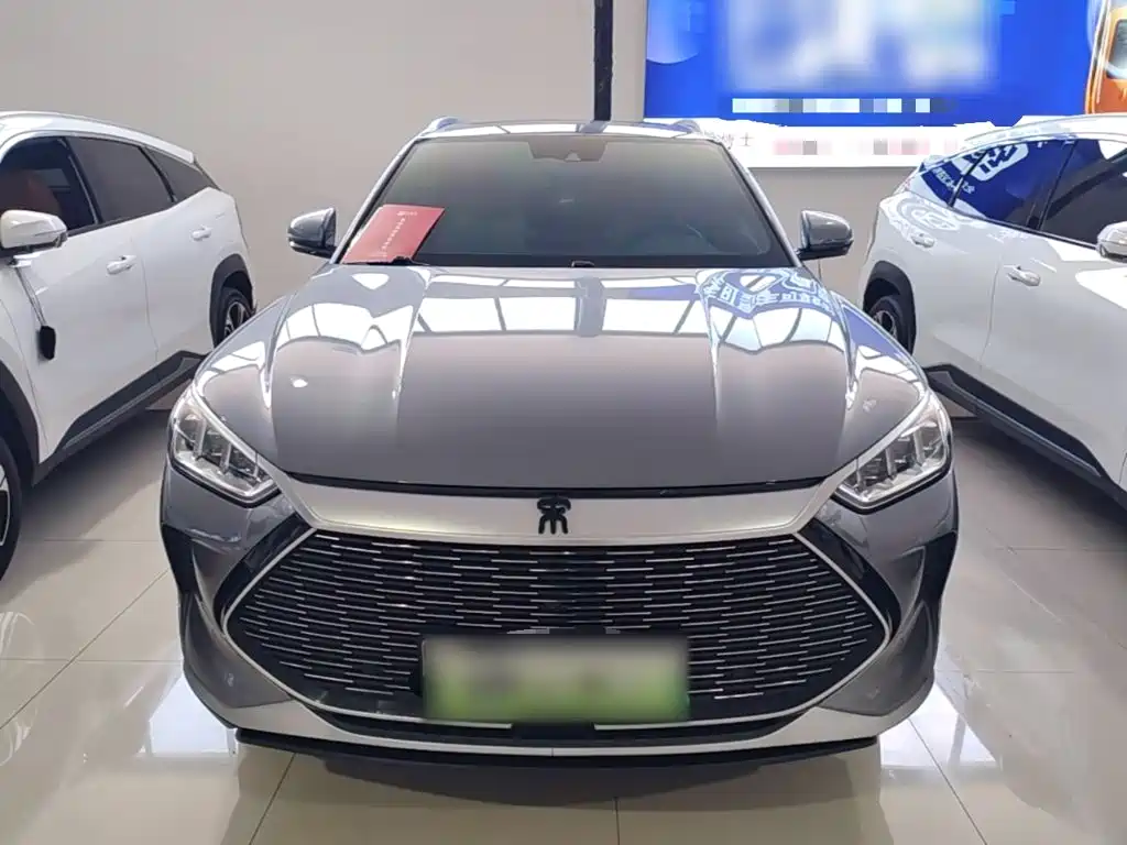 BYD PLUS New Energy — миниатюра 3