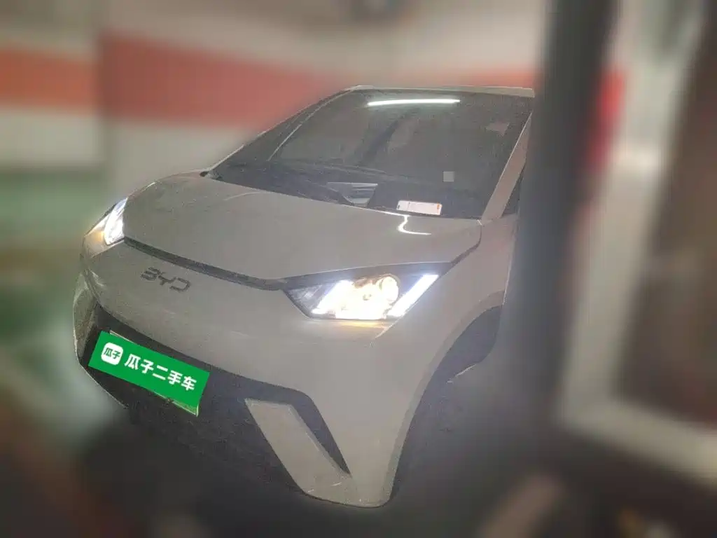 BYD Seagull