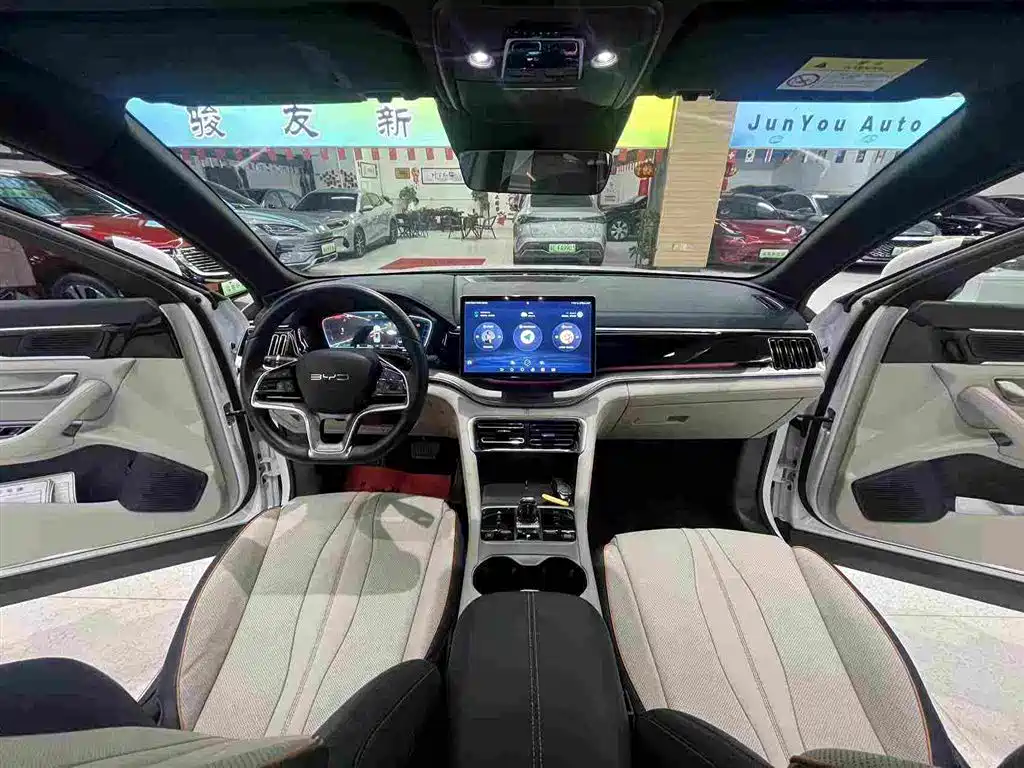 BYD PLUS New Energy — миниатюра 5