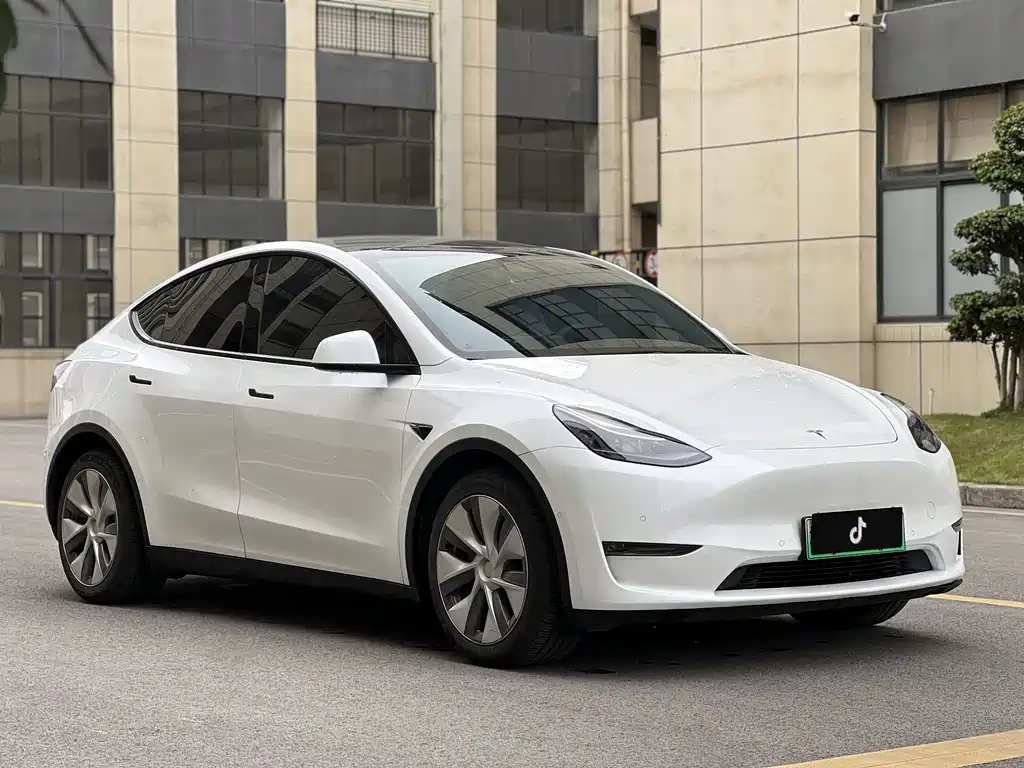Tesla Model Y — миниатюра 3