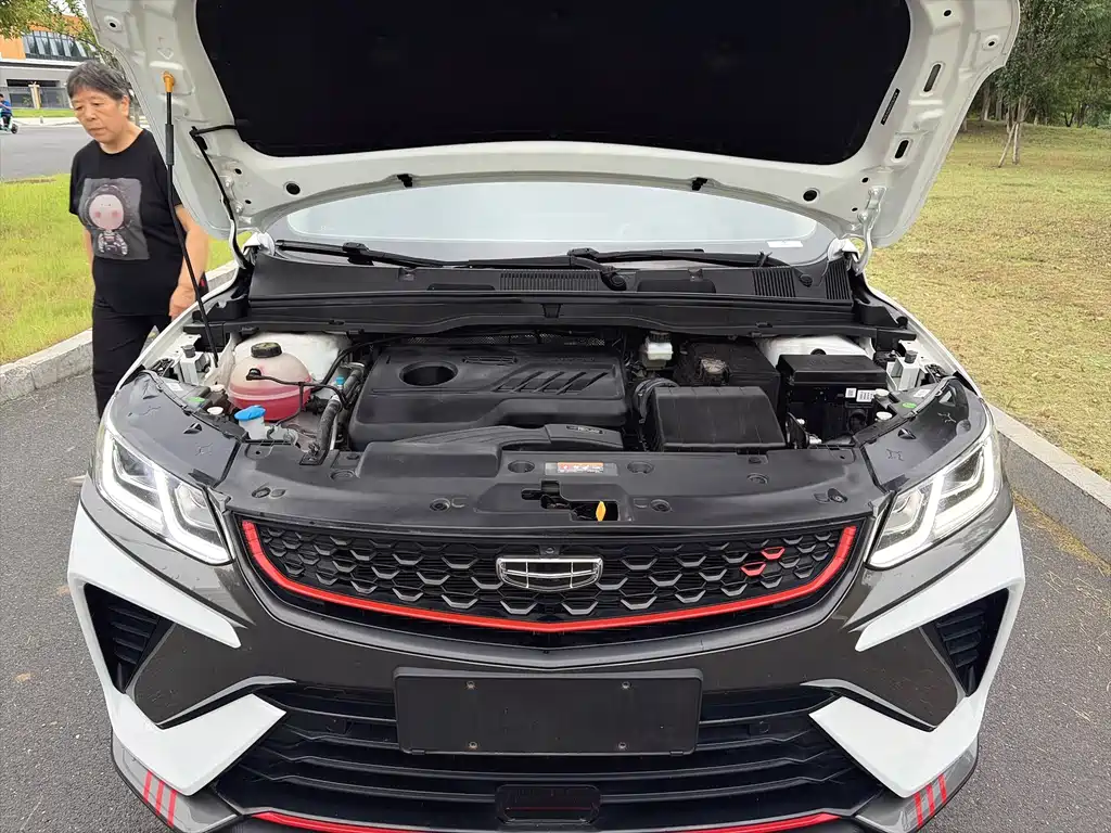 Geely Binyue 1.4T DCT Diamond Edition, фото 22