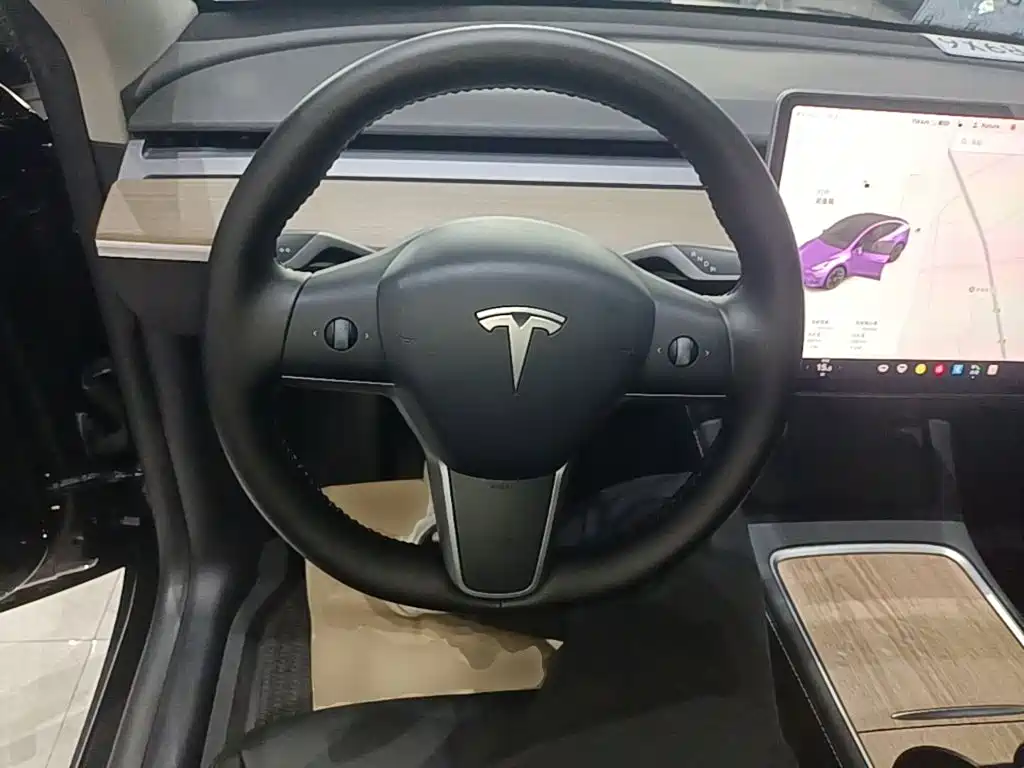 Tesla Model Y — миниатюра 11