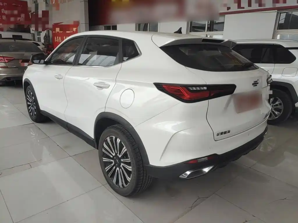 Oshan Oushang X5 — миниатюра 5
