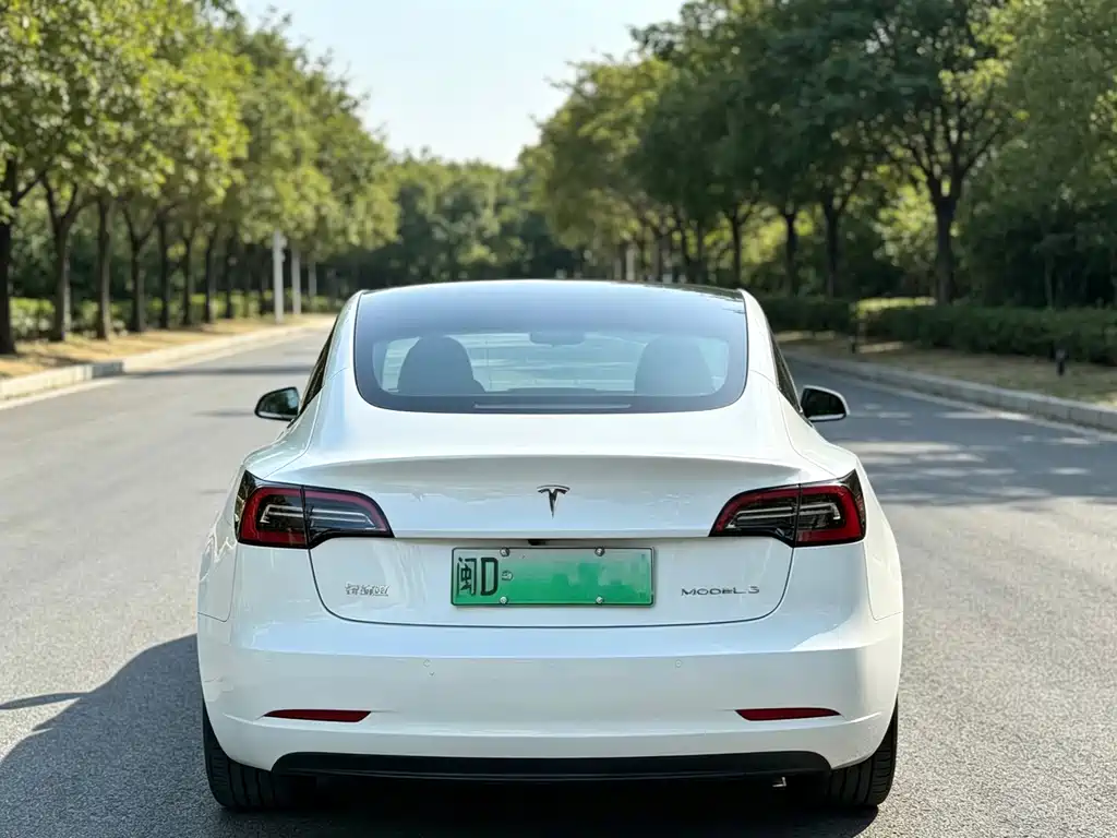 Tesla Model 3 — миниатюра 5
