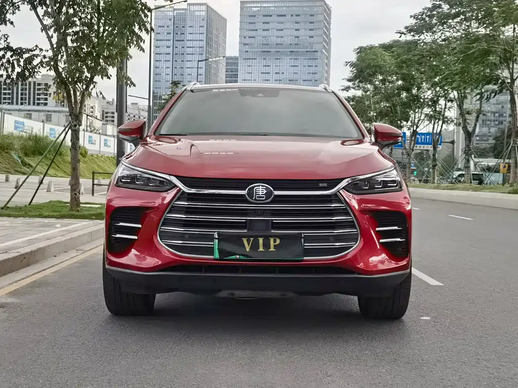BYD Tang New Energy — миниатюра 2