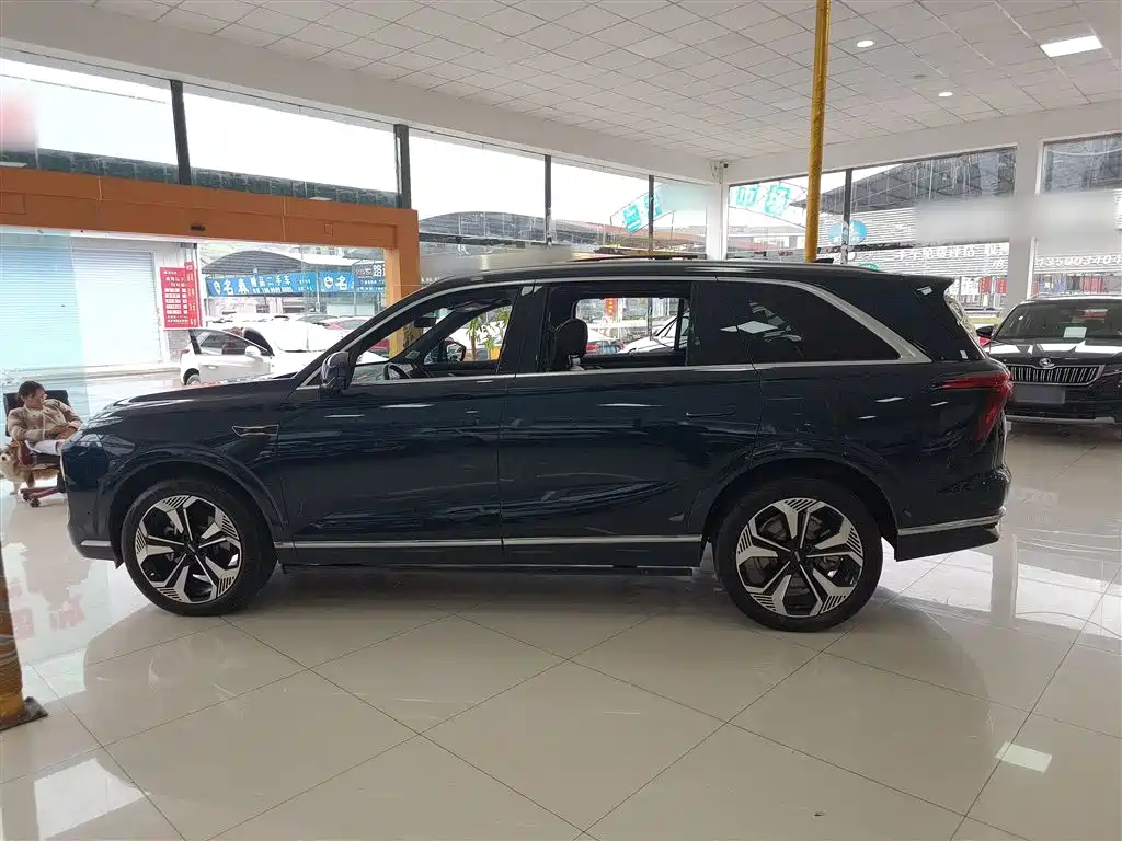 WEI PAI WEI BRAND BLUE MOUNTAIN