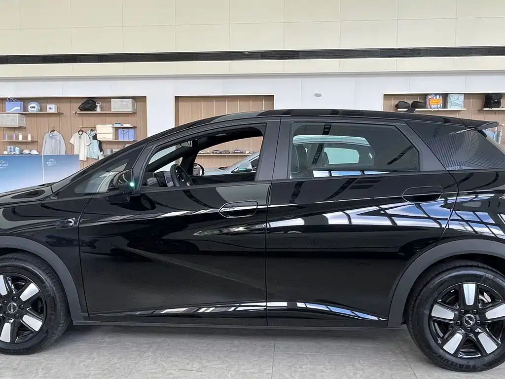 BYD Dolphin — миниатюра 3