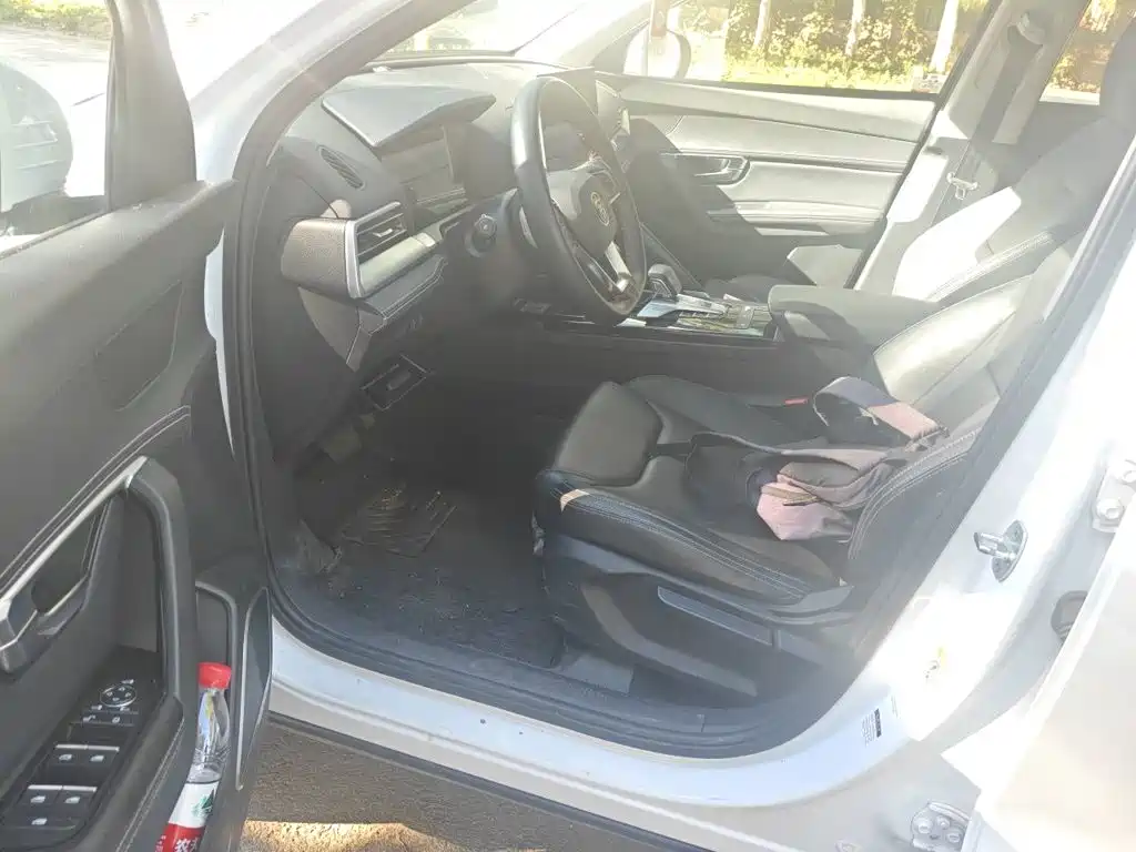 BYD Pro — миниатюра 12