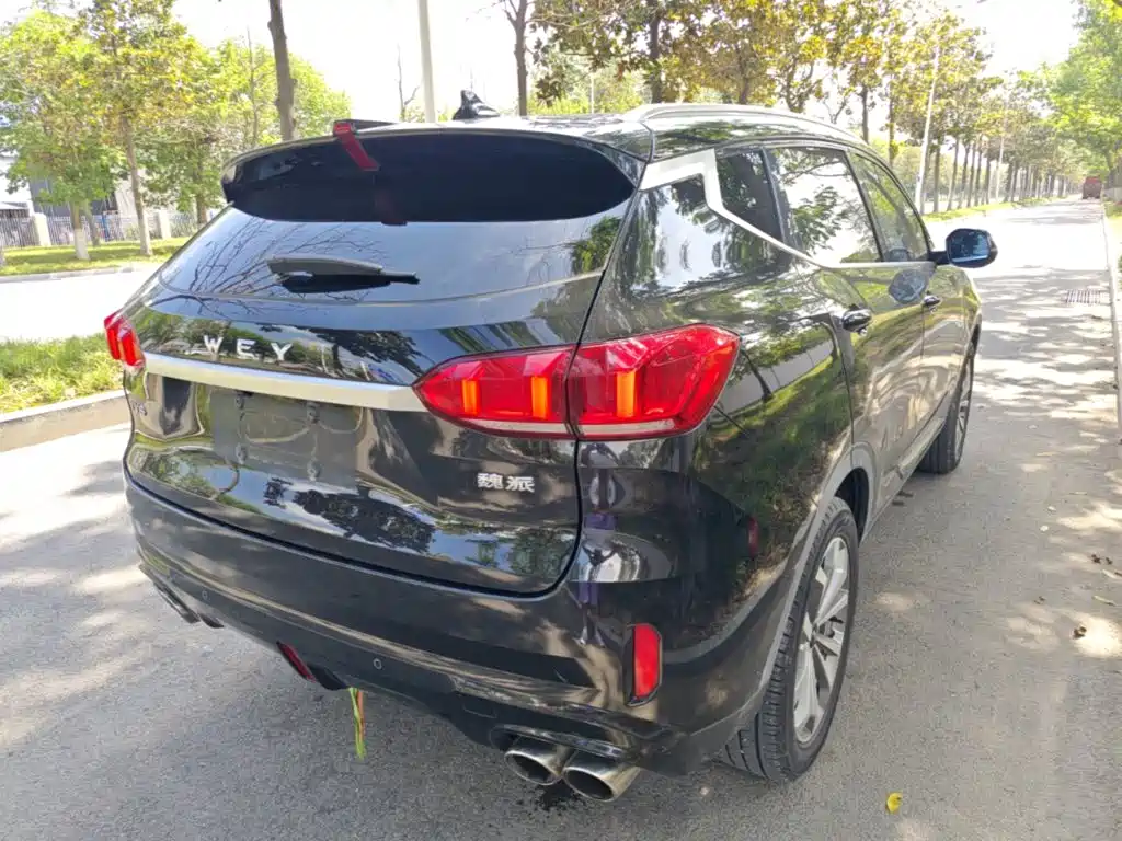 Wey Wey VV6 — миниатюра 7