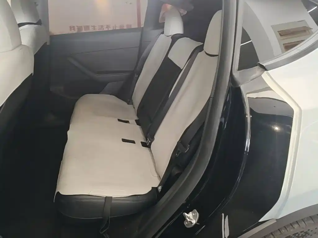 Tesla Model Y — миниатюра 17