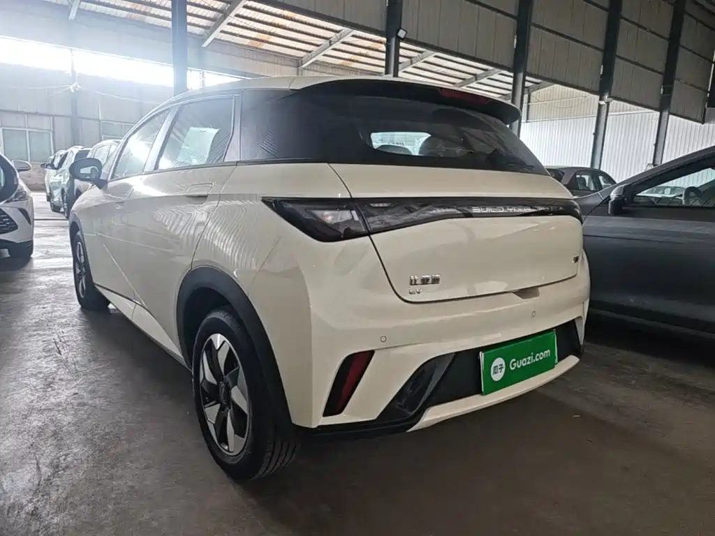 BYD Dolphin — миниатюра 5
