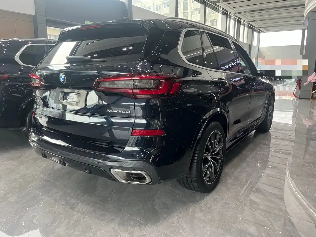 BMW X5 — миниатюра 8