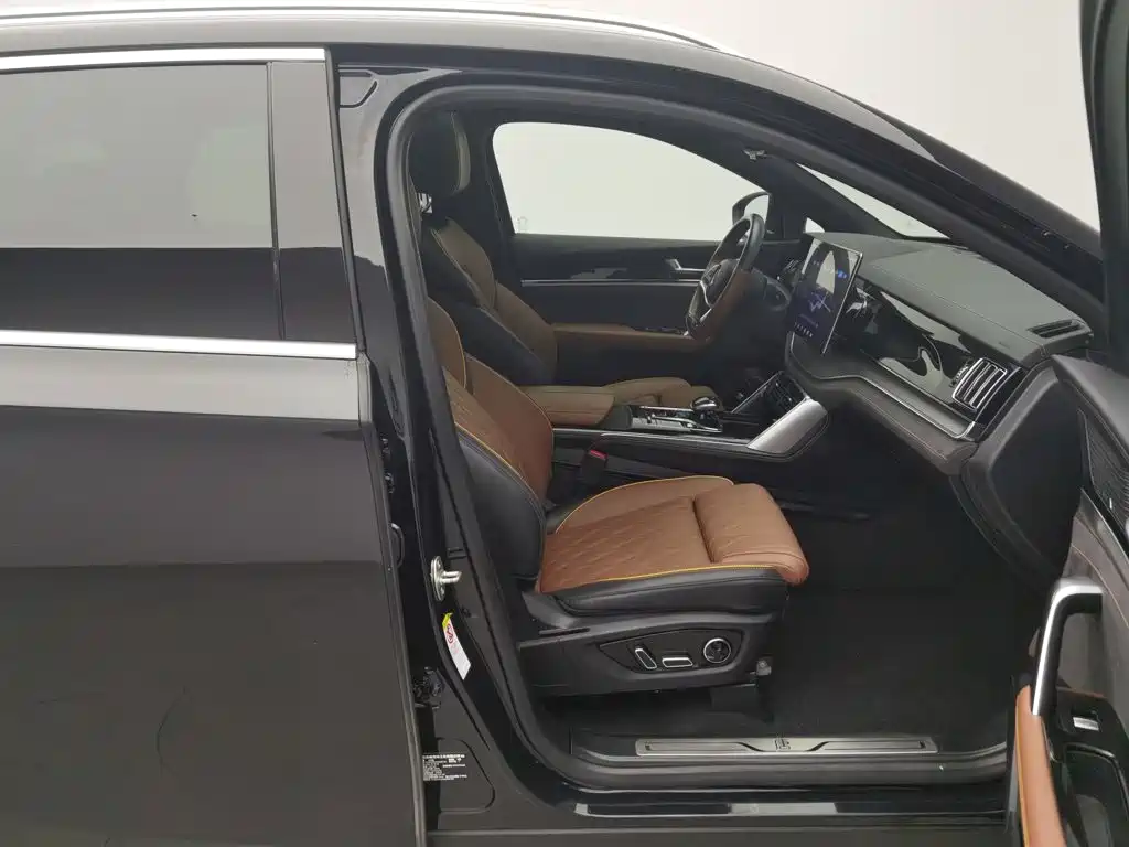 BYD Tang New Energy — миниатюра 23