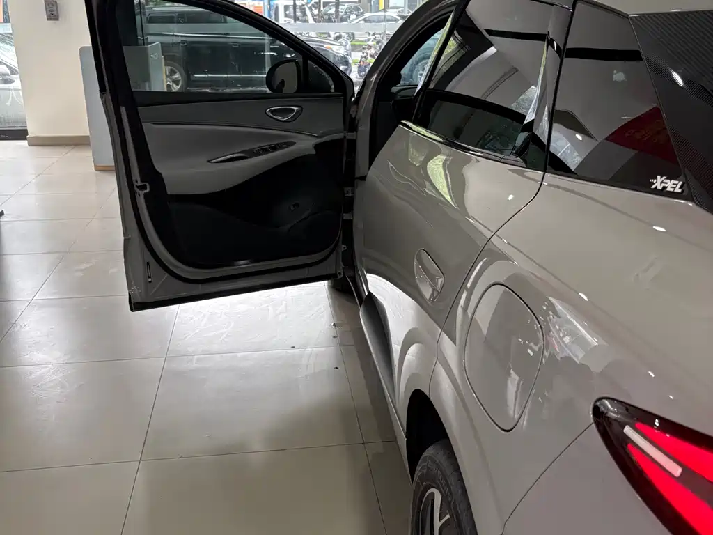 BYD Haisi 06 — миниатюра 8