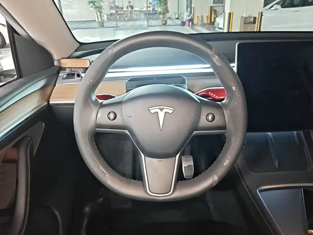 Tesla Model Y — миниатюра 11