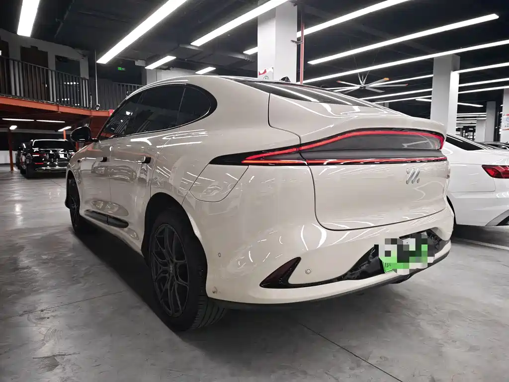 IM IM LS6 — миниатюра 19