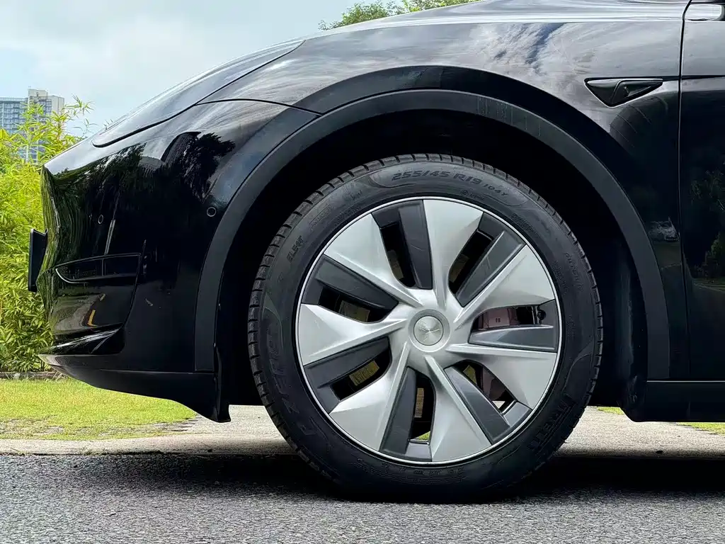 Tesla Model Y — миниатюра 15