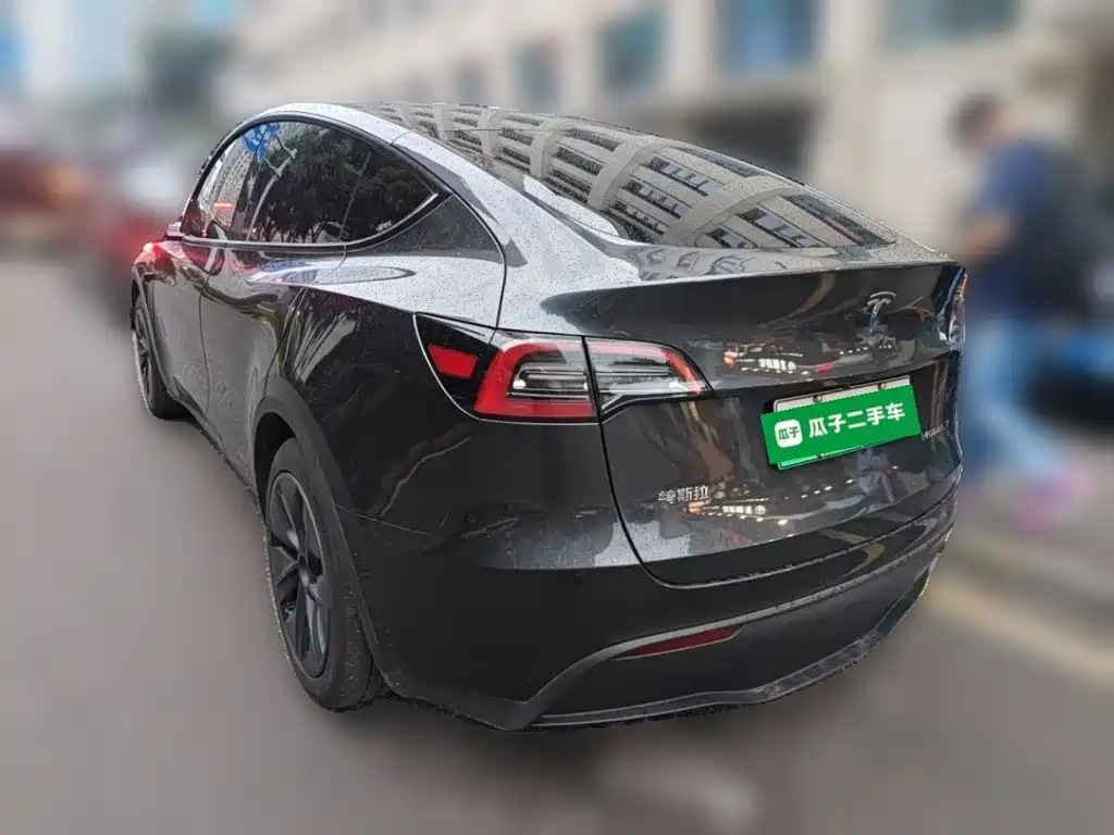 Tesla Model Y — миниатюра 25
