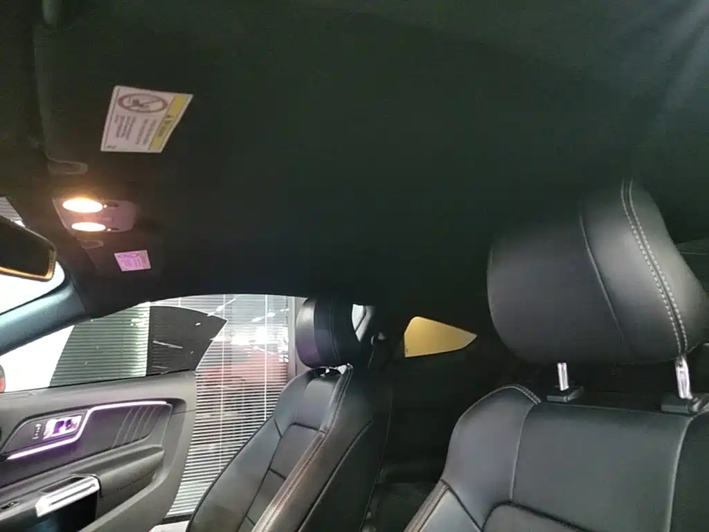Ford Mustang — миниатюра 18