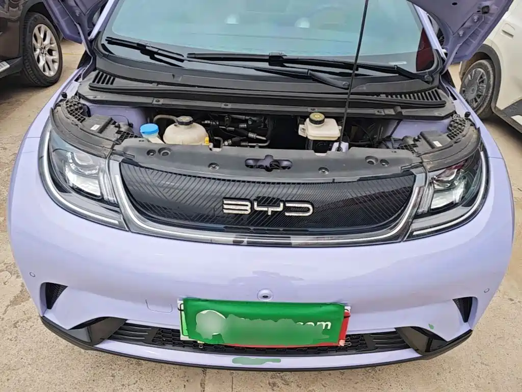 BYD Dolphin — миниатюра 20