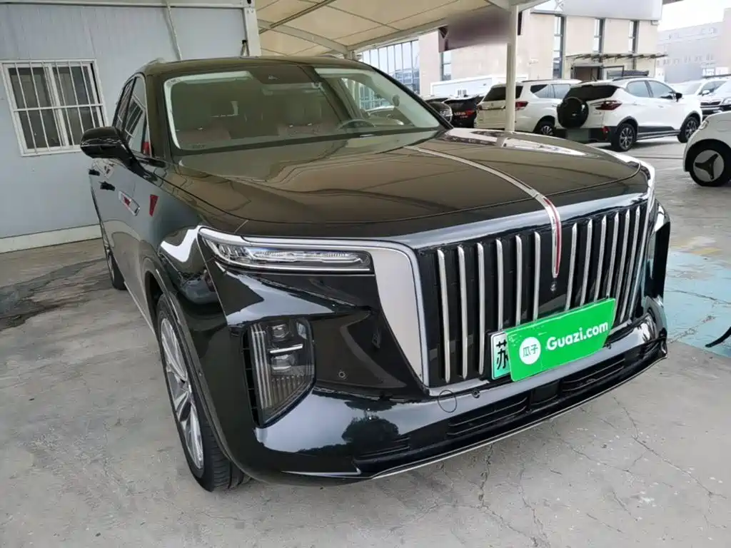 Hongqi Hongqi E-HS9 — миниатюра 4