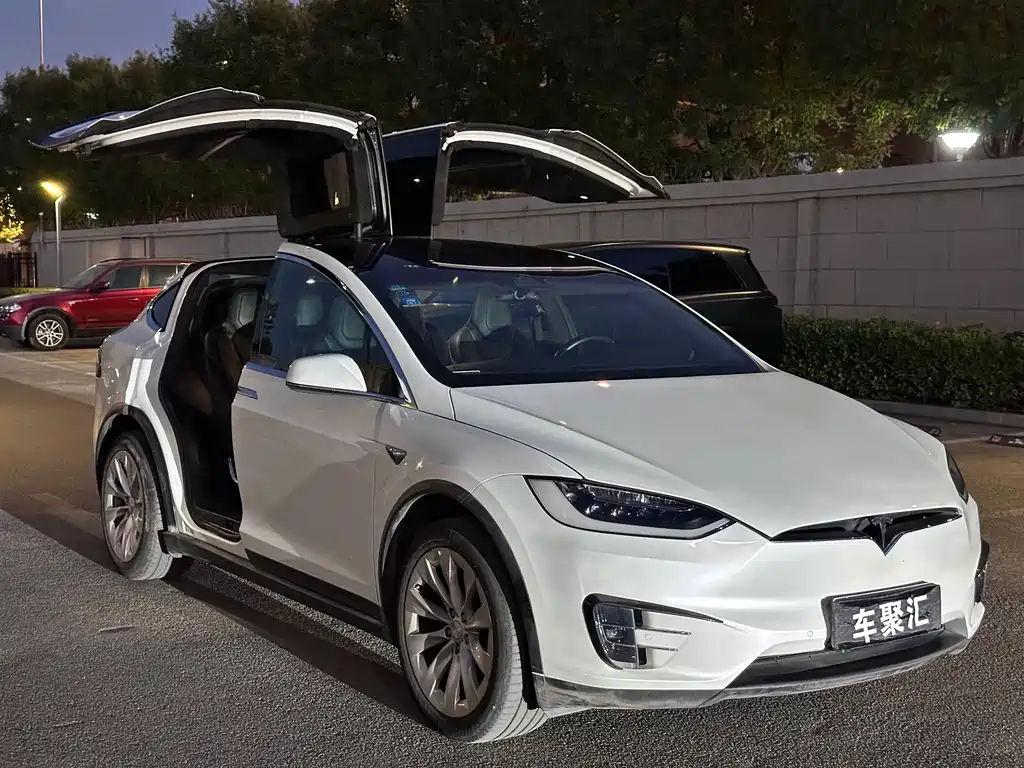 Tesla Model X — миниатюра 3