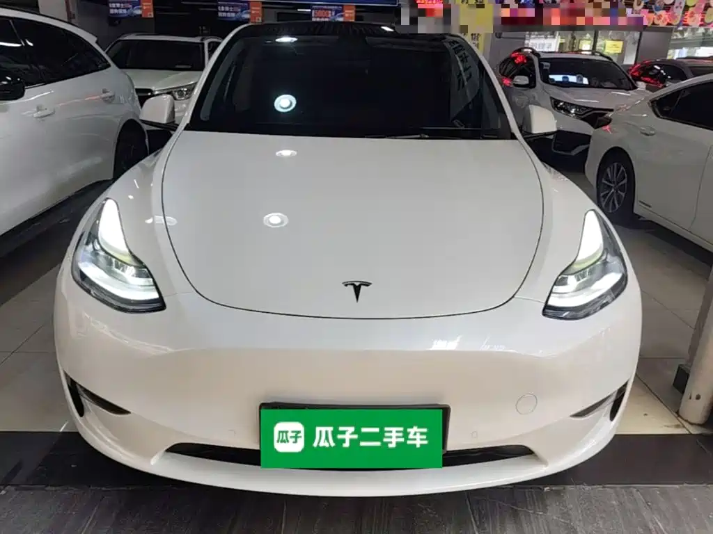 Tesla Model Y — миниатюра 3