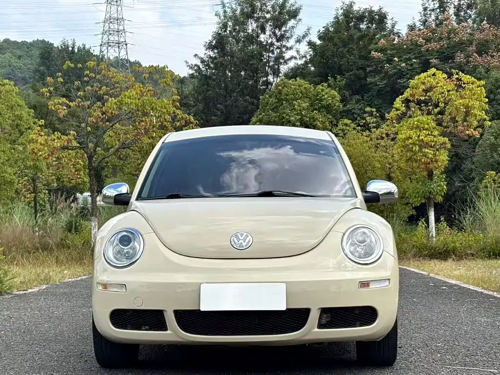 Volkswagen Beetle — миниатюра 2
