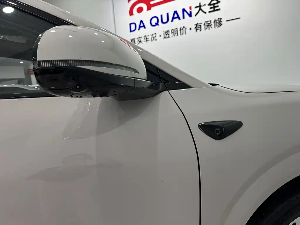 BYD SEA LION 06 NEW ENERGY