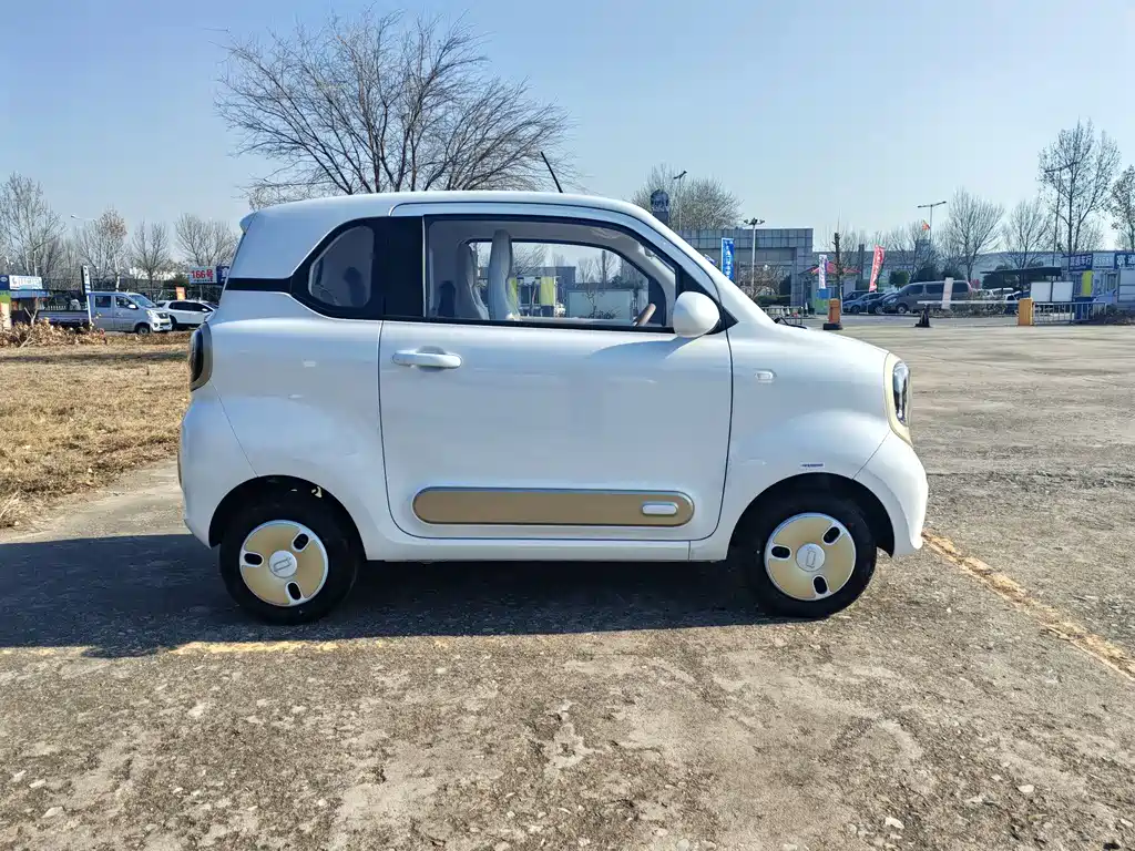 BESTUNE PENTIUM PONY