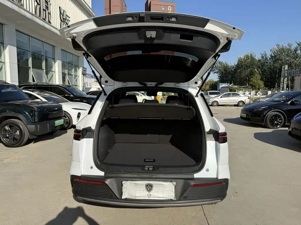 BYD Pro New Energy — миниатюра 13