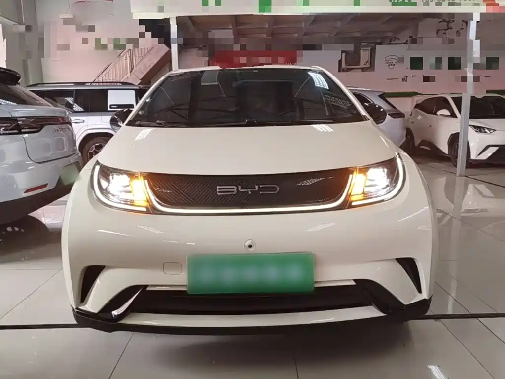 BYD Dolphin — миниатюра 3