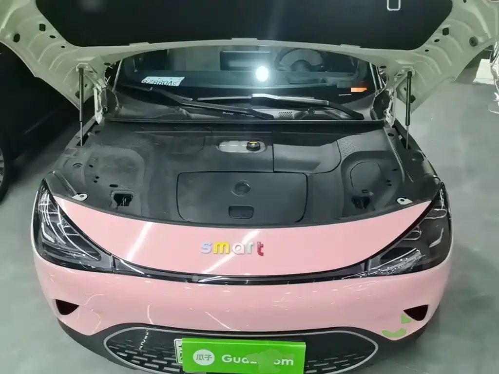 smart Smart #1 — миниатюра 20