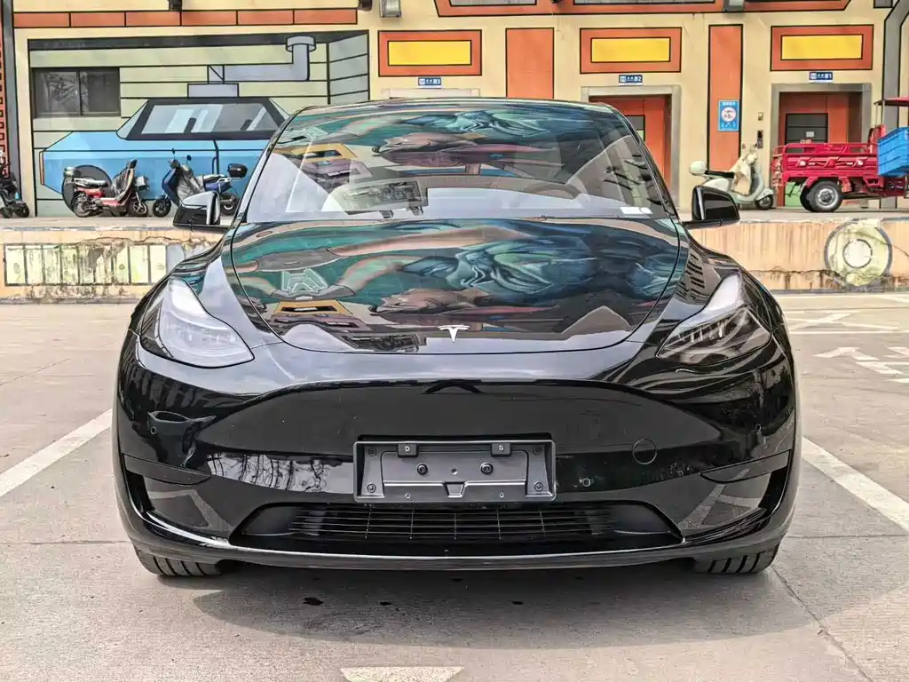 Tesla Model Y — миниатюра 2