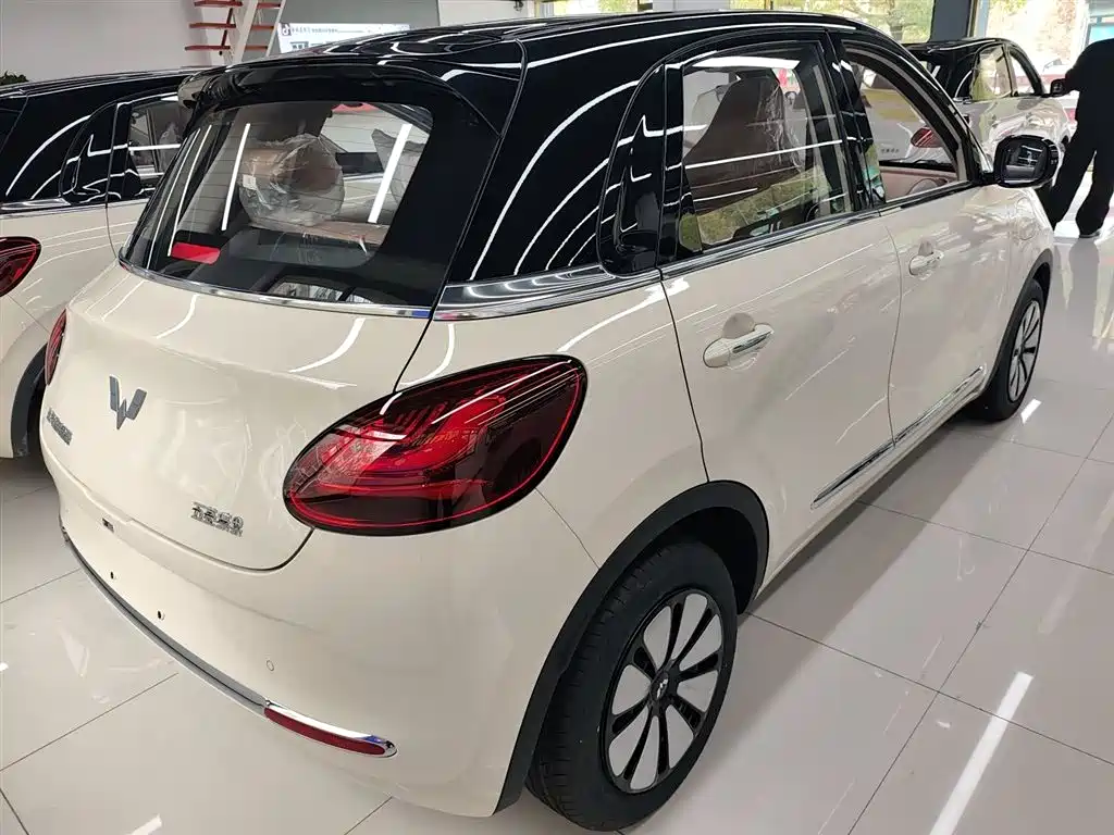 Wuling Binguo 2025 333km Enjoy