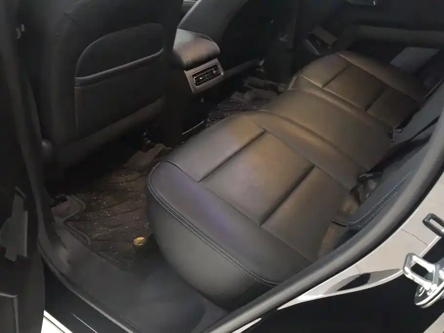 Haval Big Dog PLUS New Energy — миниатюра 11