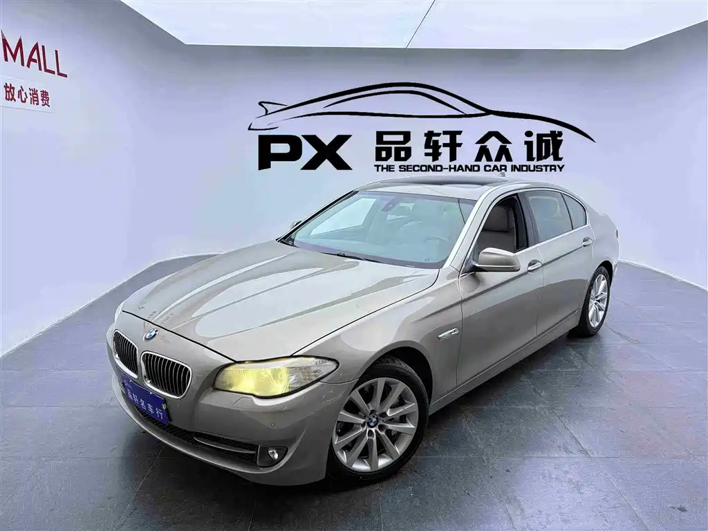 BMW 5 Series 2010