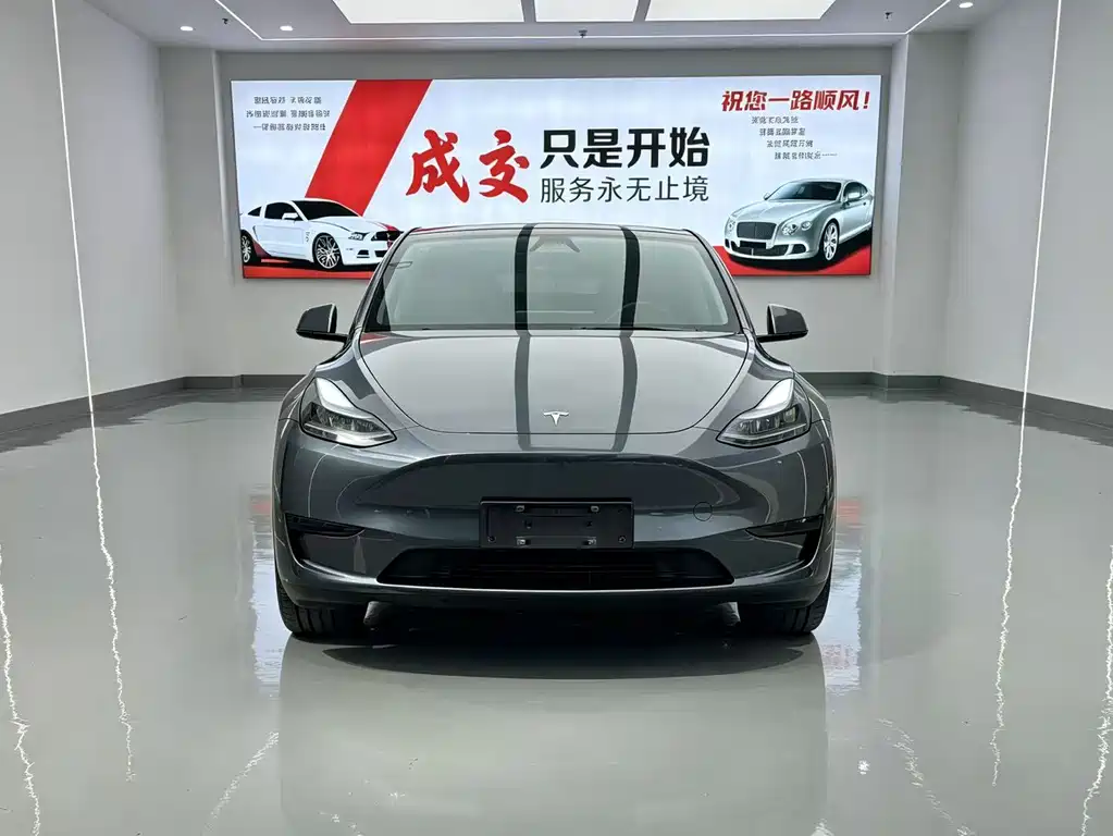 Tesla Model Y — миниатюра 2