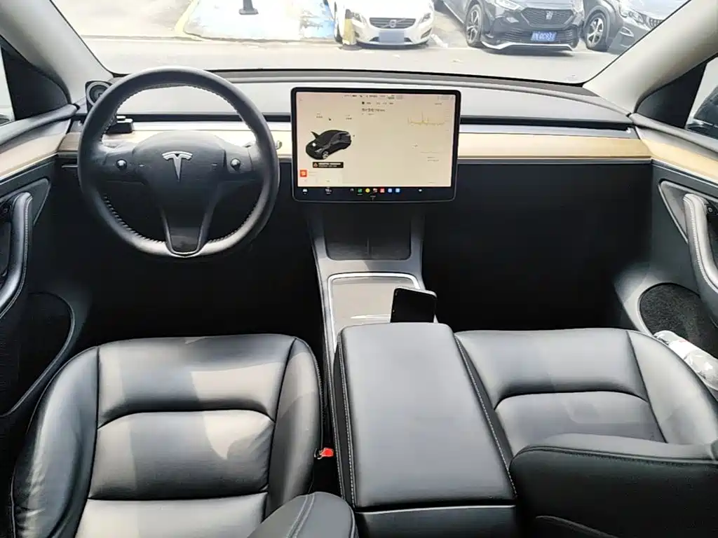 Tesla Model Y — миниатюра 10